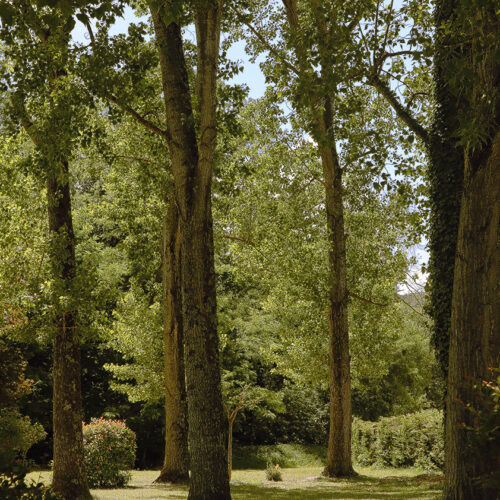 Jardin du domaine de la Cacharde