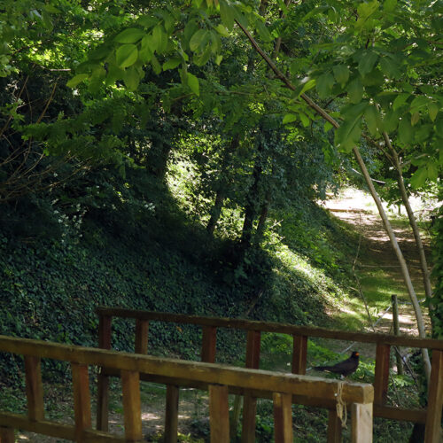 Jardin du domaine de la Cacharde
