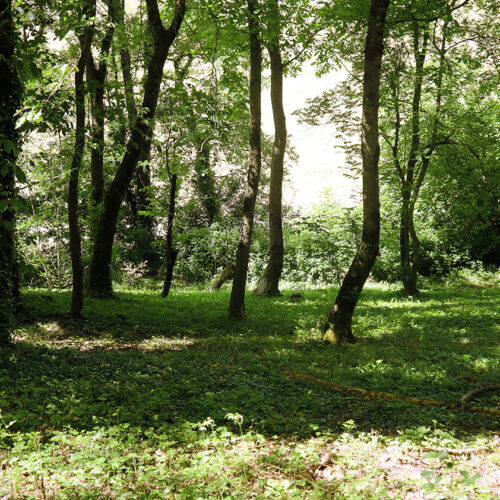Jardin du domaine de la Cacharde